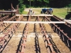 2003 - Rekonštrukcia tribúny amfiteátra